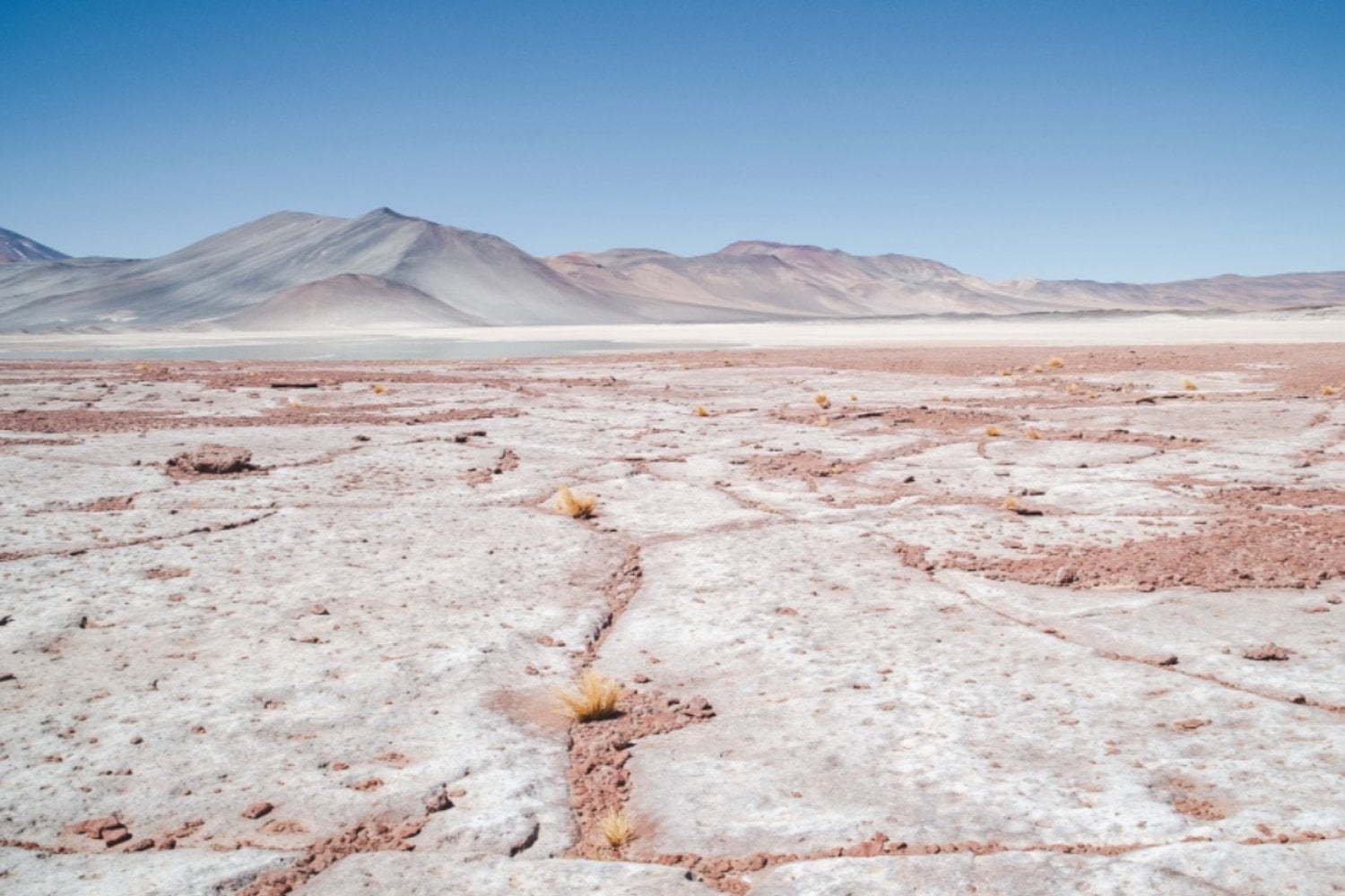 Descolonizar la ciencia: por qué el desierto de Atacama expone una deuda histórica en la investigación global