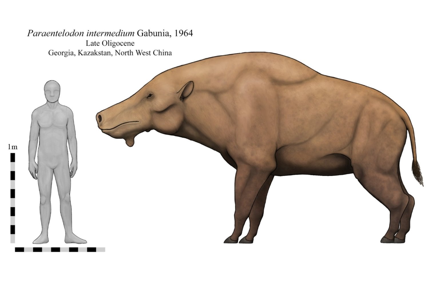 El “cerdo del infierno” era aún peor de lo que imaginábamos: dos metros de altura, mil kilos y pariente cercano de las ballenas