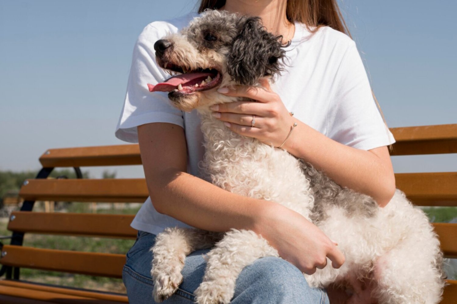 El sorprendente impacto climático de tener un perro: lo que la ciencia revela sobre una decisión cotidiana