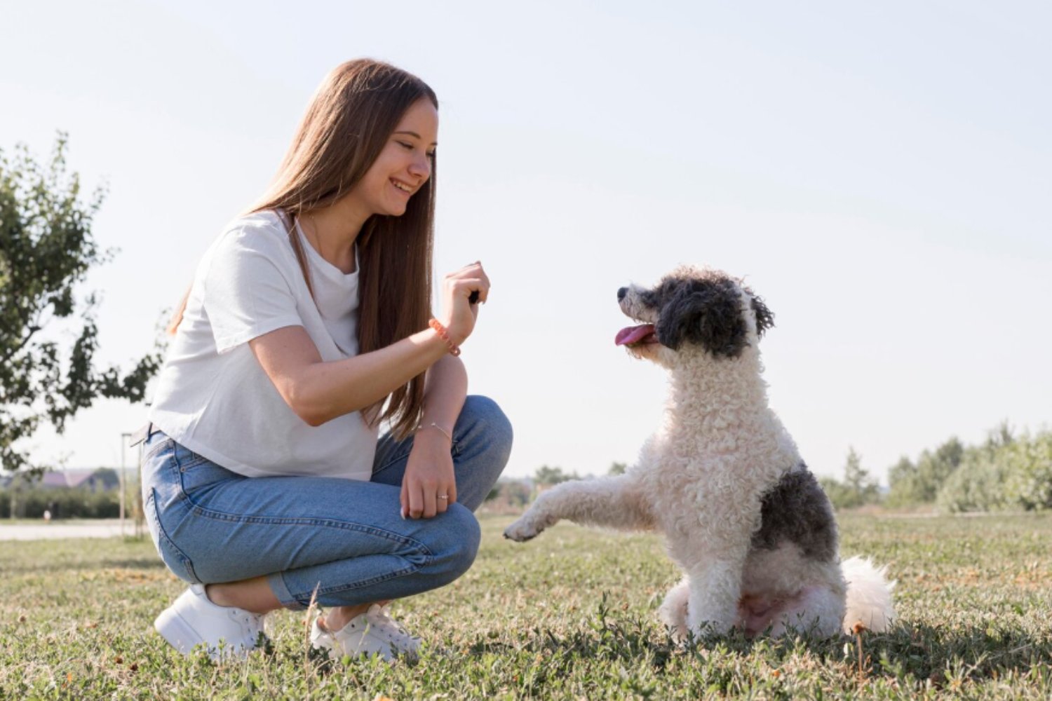 El sorprendente impacto climático de tener un perro: lo que la ciencia revela sobre una decisión cotidiana