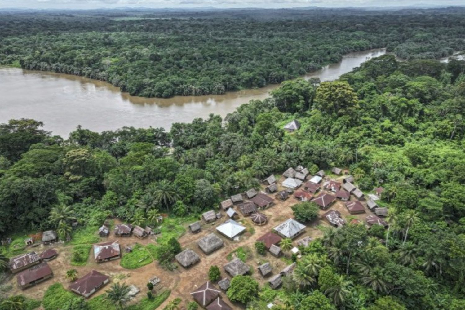 Tiwai: la isla africana que resucitó del silencio para convertirse en Patrimonio Mundial