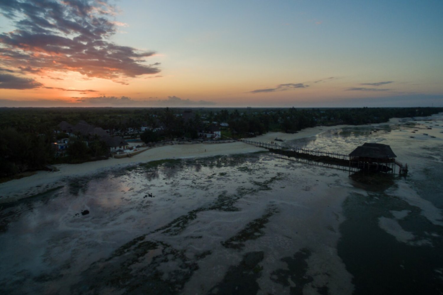 Islas en peligro: proyecciones revelan un aumento alarmante de inundaciones en atolones para 2050