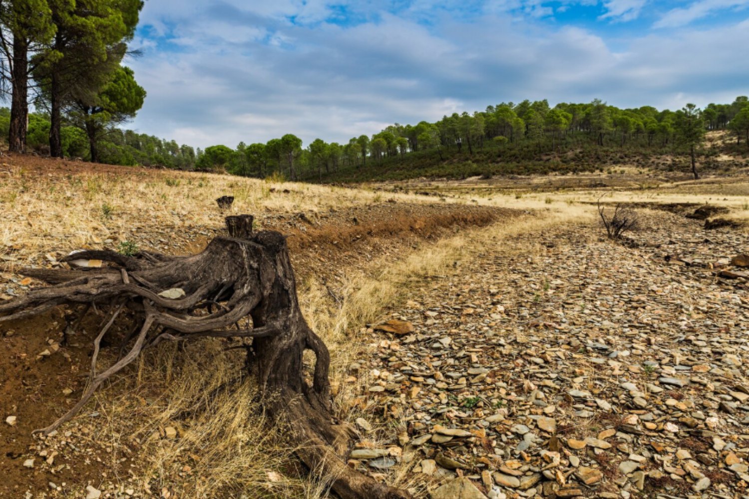 Desertificación: el término que usamos mal desde hace un siglo (y por qué no todo lo árido es un desierto que avanza)
