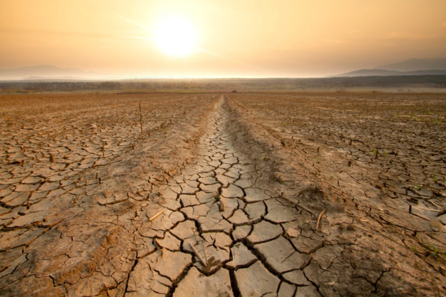 Desertificación: el término que usamos mal desde hace un siglo (y por qué no todo lo árido es un desierto que avanza)