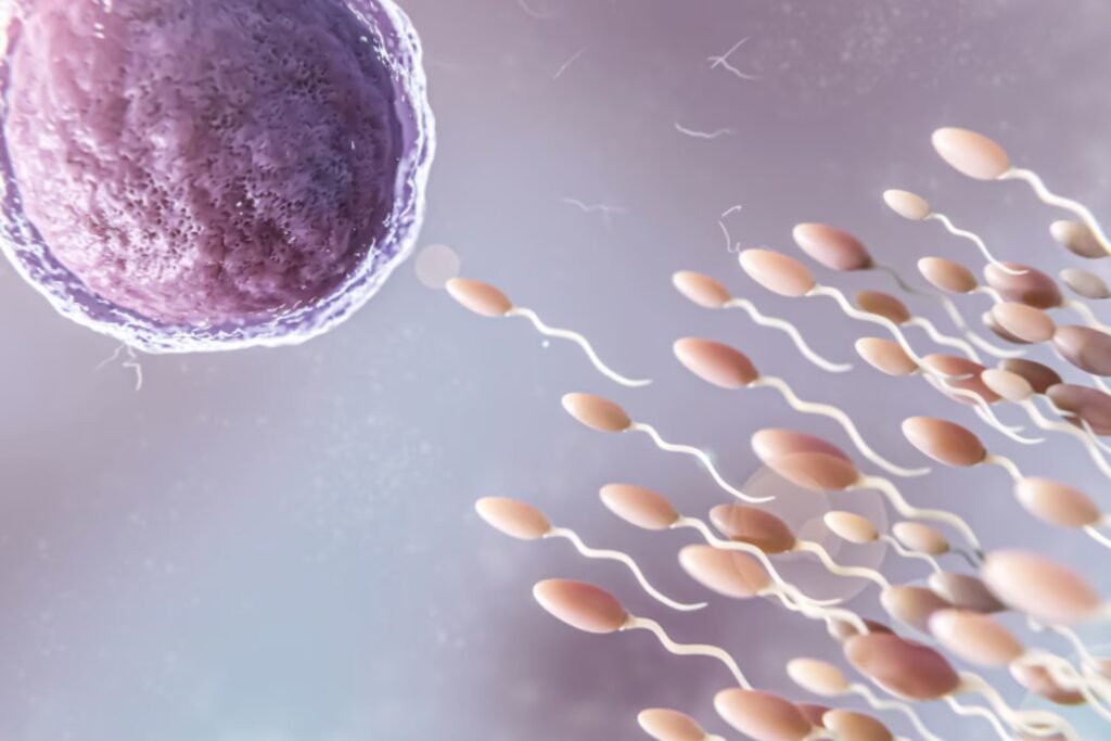 Nace el primer embarazo exitoso gracias a un análisis de esperma guiado por inteligencia artificial