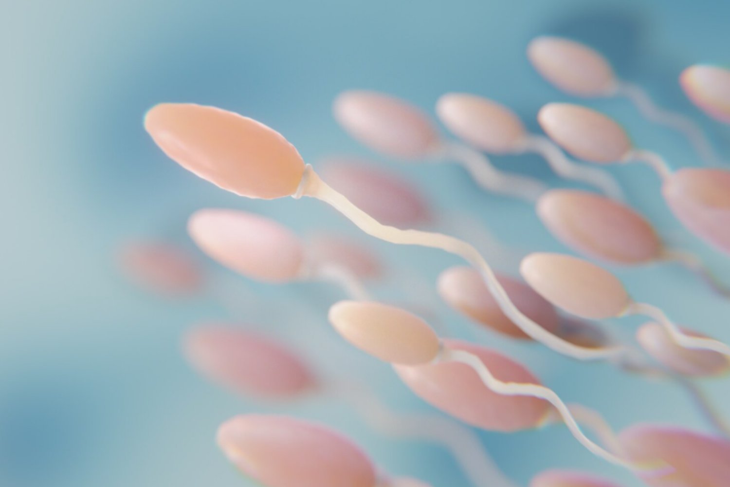 Nace el primer embarazo exitoso gracias a un análisis de esperma guiado por inteligencia artificial