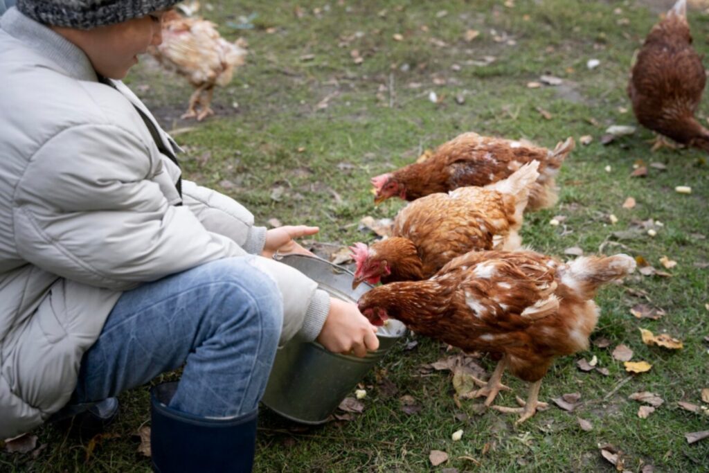 La gripe aviar H5N5 provoca la primera muerte humana: el brote que nadie vio venir