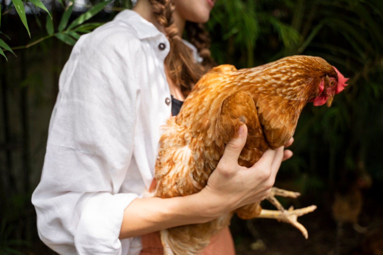 La gripe aviar H5N5 provoca la primera muerte humana: el brote que nadie vio venir
