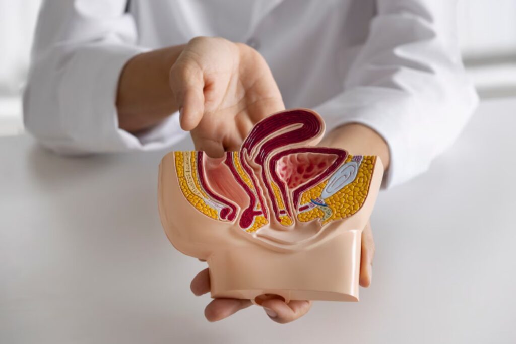 Por qué cada vez más hombres eligen la vasectomía: la ciencia, la ley y el cambio cultural detrás del método anticonceptivo masculino más eficaz