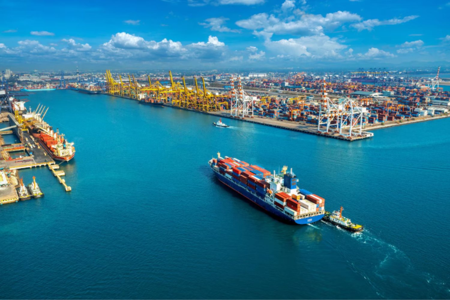 Barcos que juegan para cuidar el planeta: el nuevo modelo marítimo sostenible