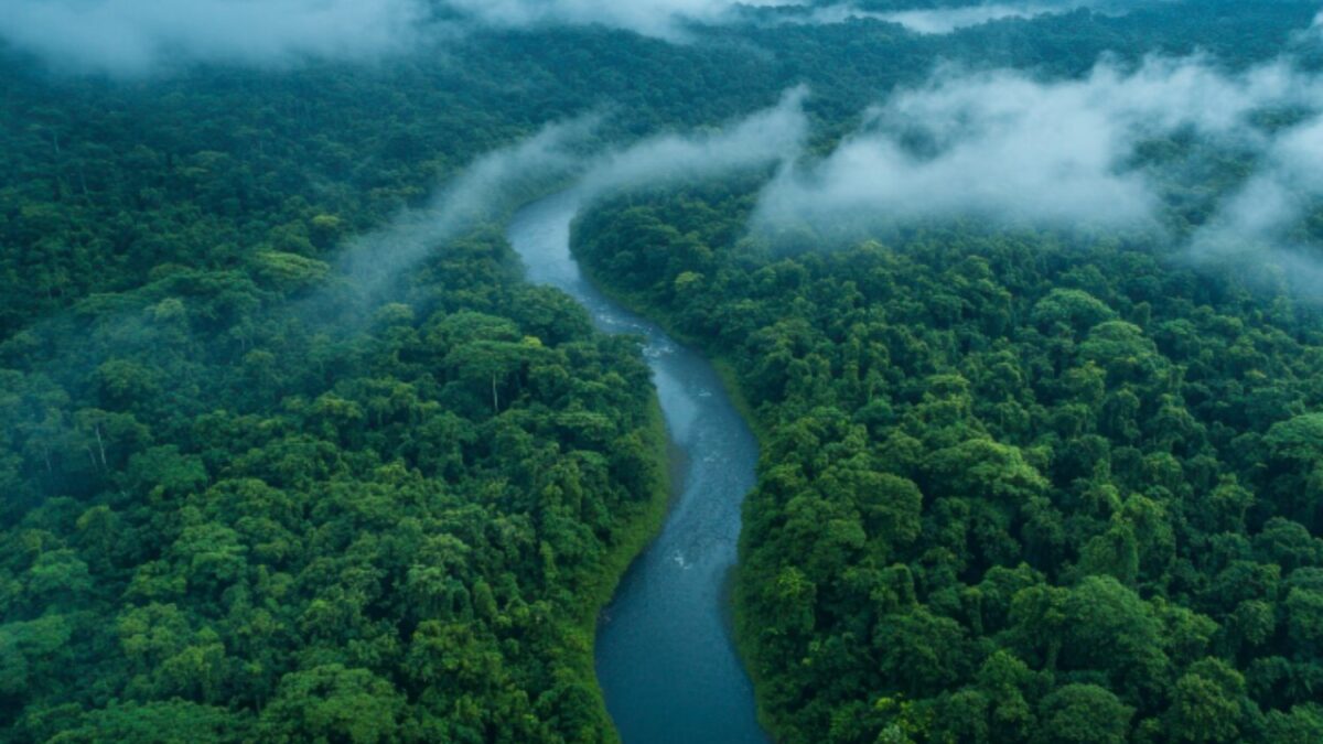 Belém, la ciudad donde el planeta se juega su futuro: arranca la COP30 en plena Amazonía