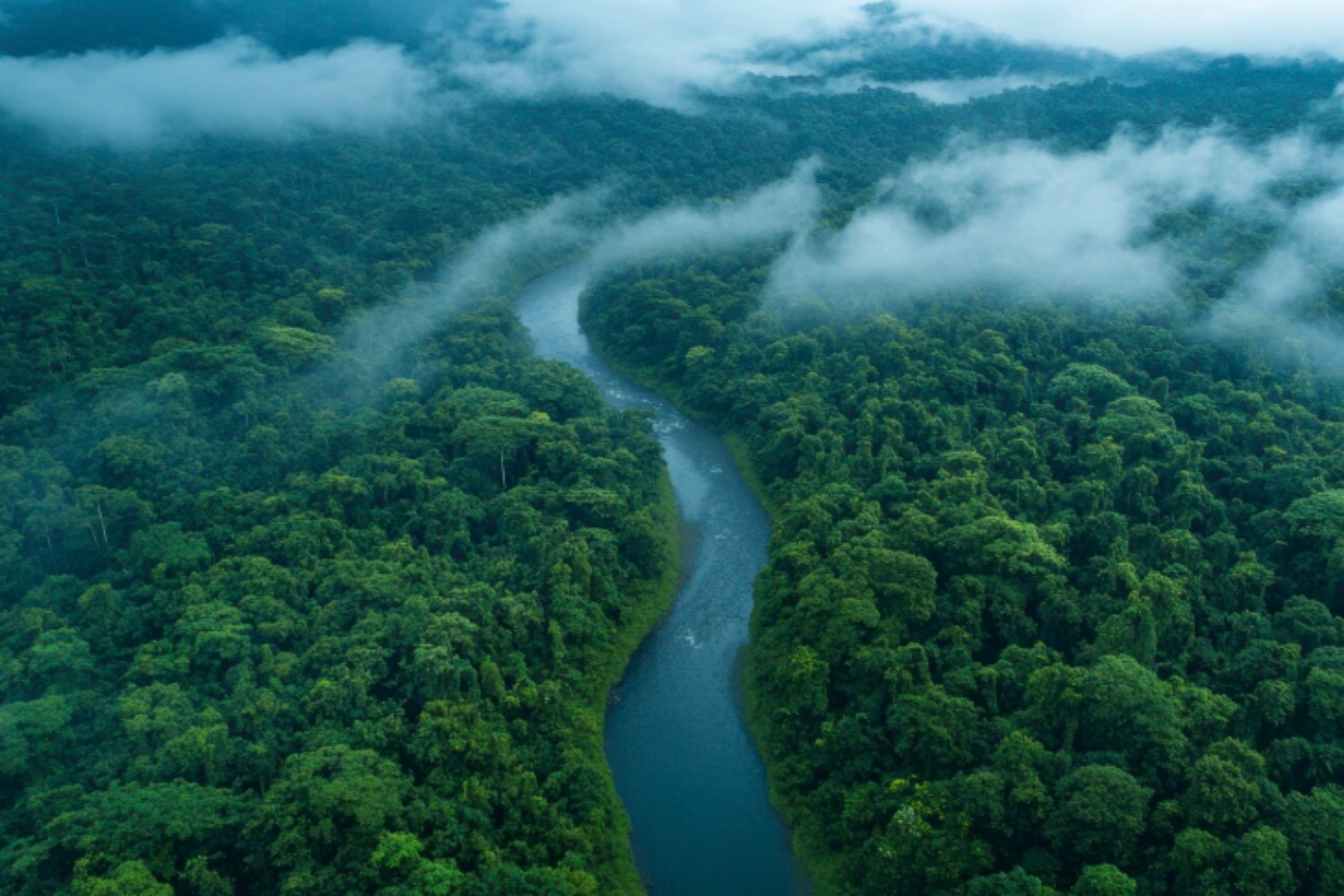 Belém, la ciudad donde el planeta se juega su futuro: arranca la COP30 en plena Amazonía