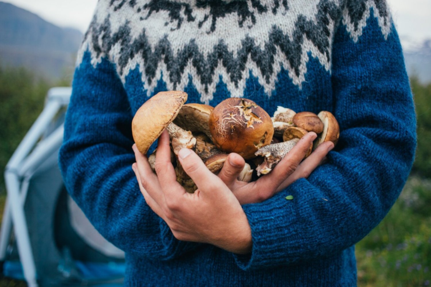 El hongo que sabe a carne: la edición genética crea una proteína más sostenible y con un 61% menos de impacto ambiental