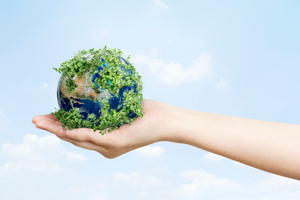 Aire, agua, suelo y vida: la red ecológica que sostiene al planeta y que hoy está en riesgo crítico