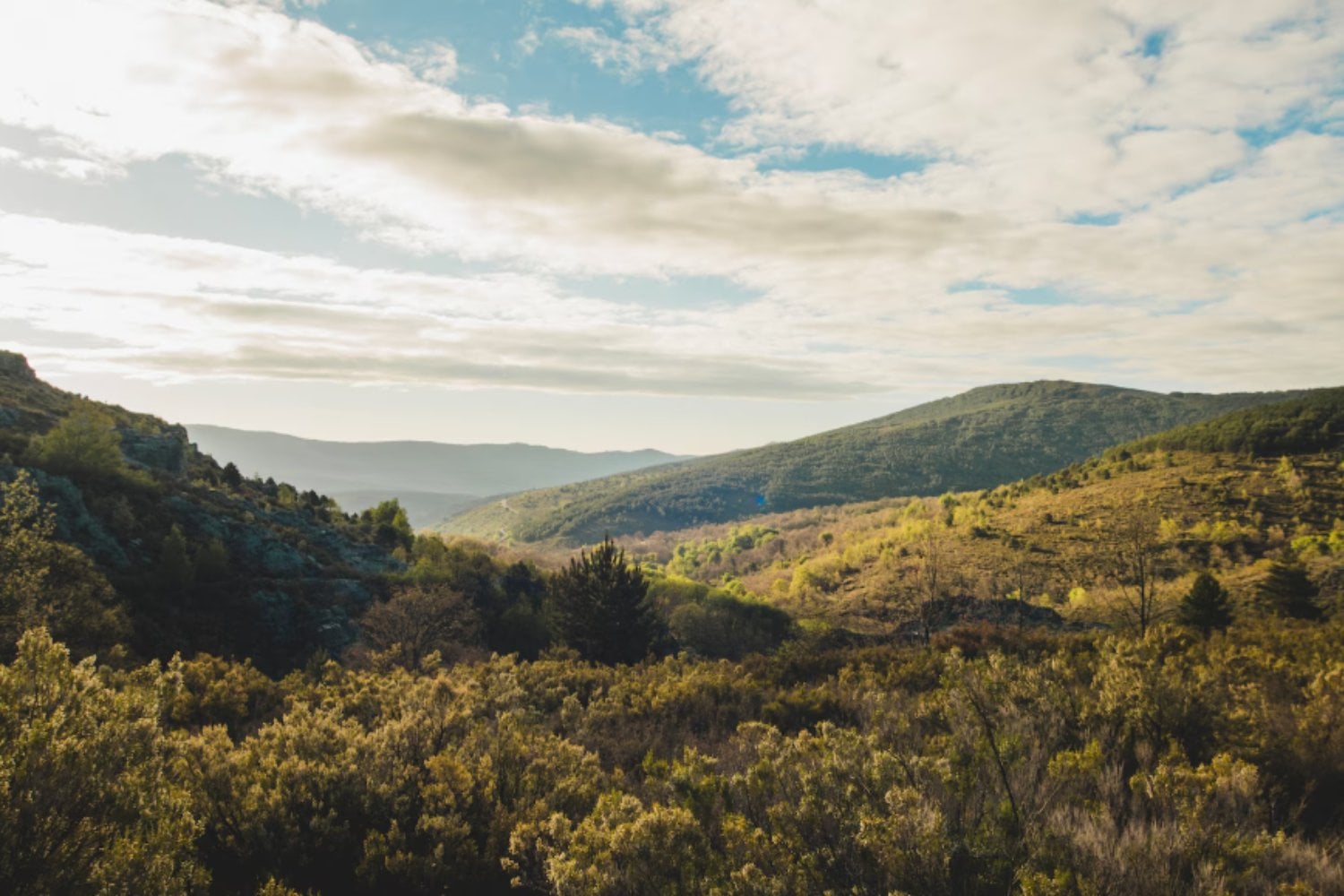 Aire, agua, suelo y vida: la red ecológica que sostiene al planeta y que hoy está en riesgo crítico