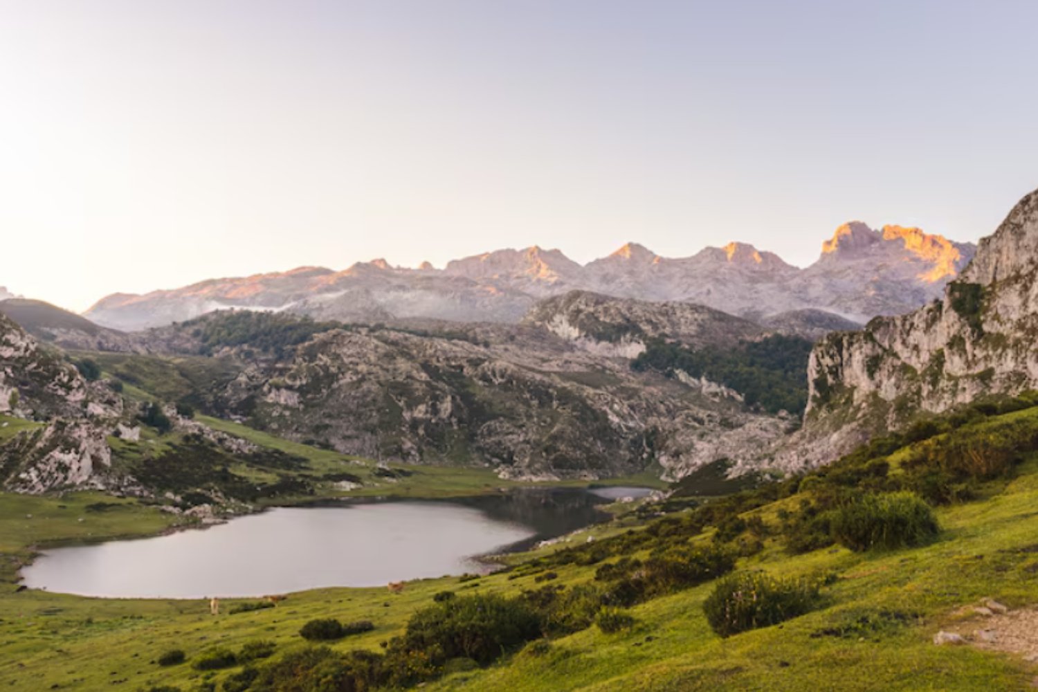 Aire, agua, suelo y vida: la red ecológica que sostiene al planeta y que hoy está en riesgo crítico