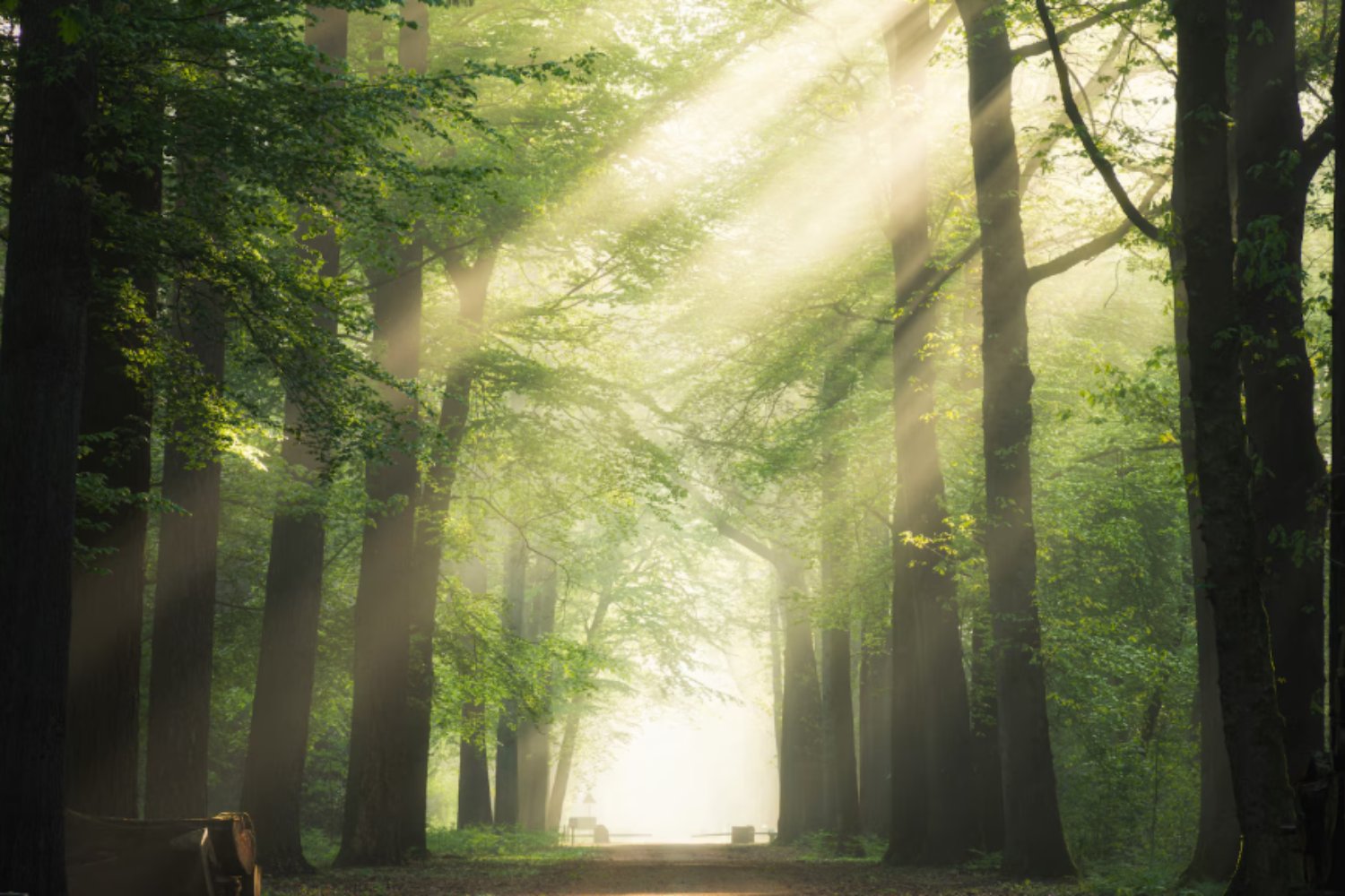 Las 6 ideas más audaces de la ciencia para enfriar el planeta