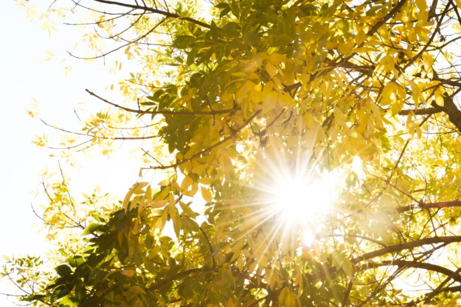 Las 6 ideas más audaces de la ciencia para enfriar el planeta