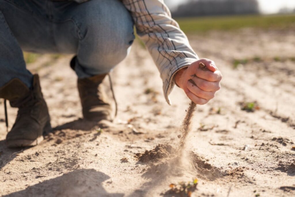 El suelo guarda huellas del pasado y protege a las plantas del cambio climático