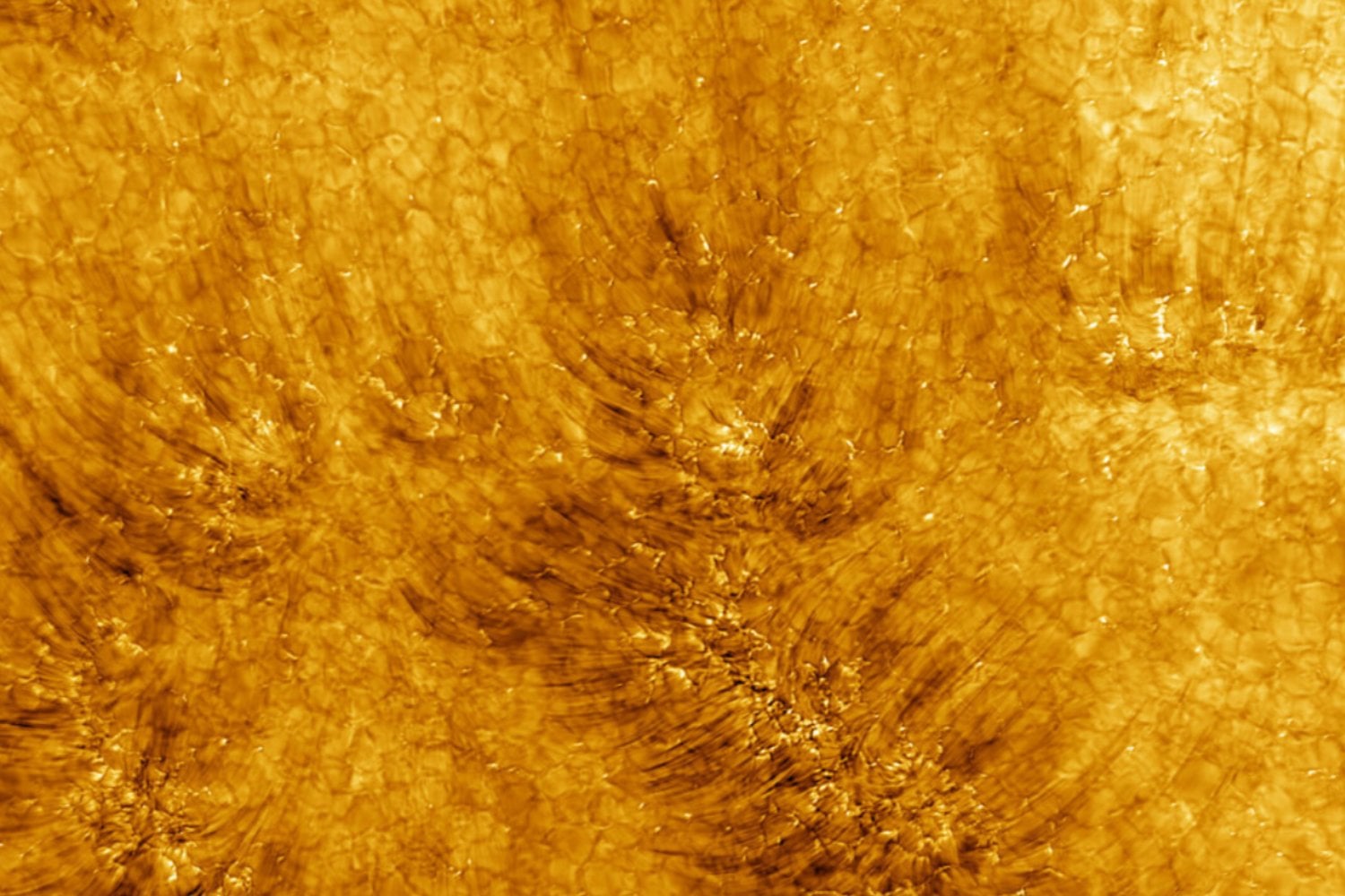El Sol baila: detectan por primera vez ondas magnéticas torsionales en su atmósfera
