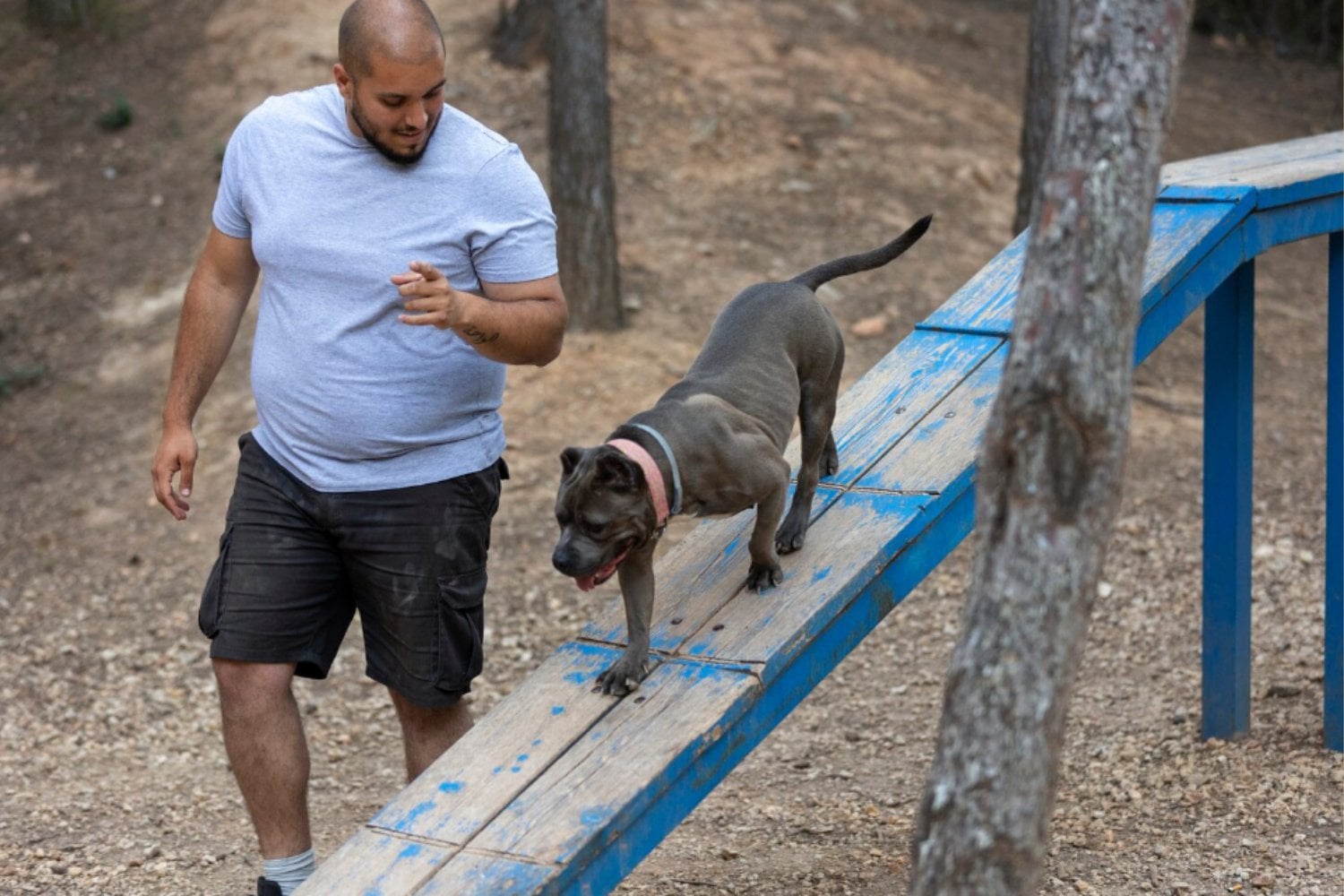 Los perros ya eran sorprendentemente diversos hace 11.000 años: un hallazgo que reescribe su historia evolutiva