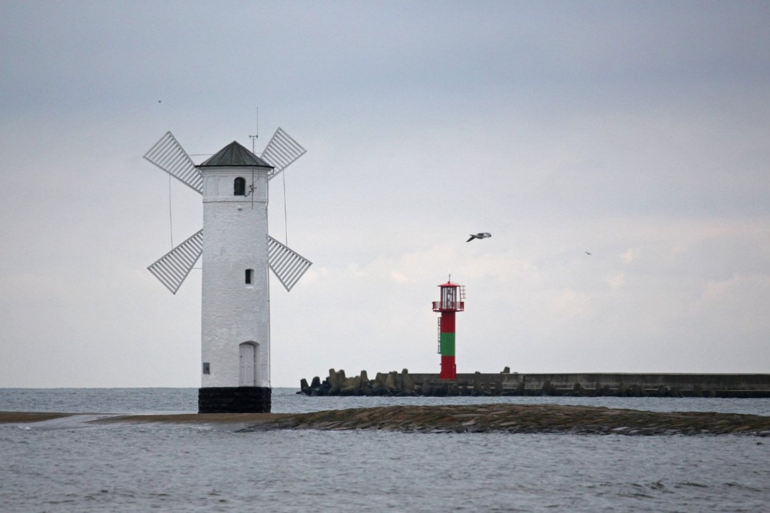 Lobos en una isla sin lobos: el hallazgo que reescribe 5.000 años de convivencia humana