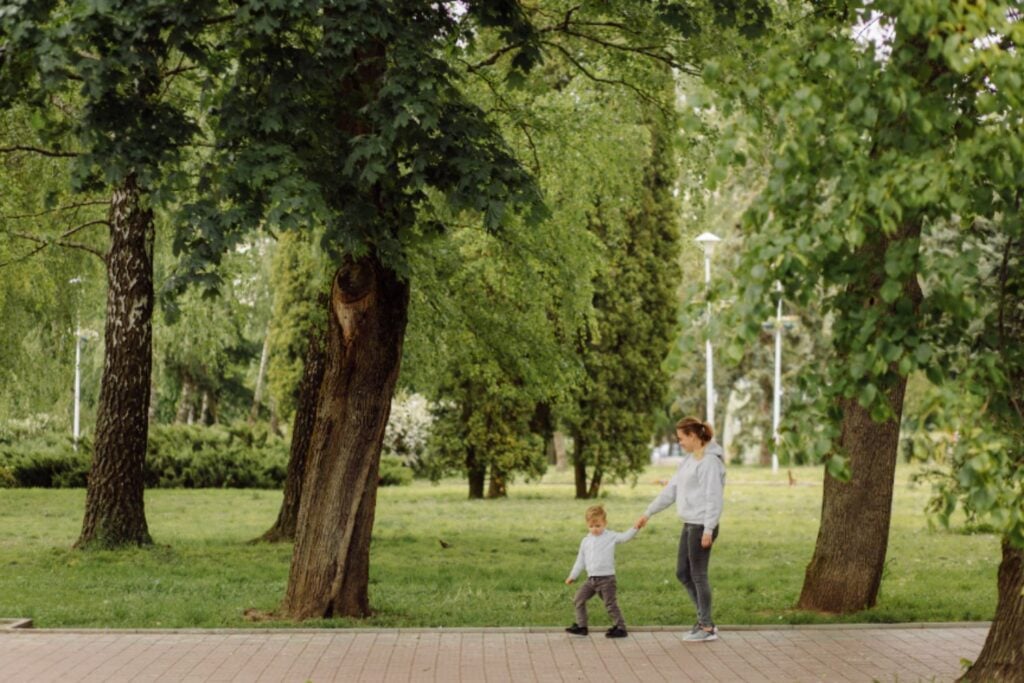 Los parques urbanos: refugios climáticos naturales que protegen a las ciudades todo el año