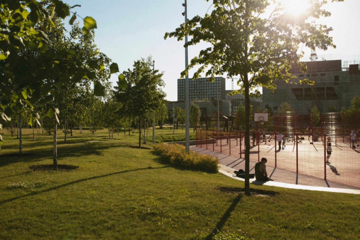 Los parques urbanos: refugios climáticos naturales que protegen a las ciudades todo el año