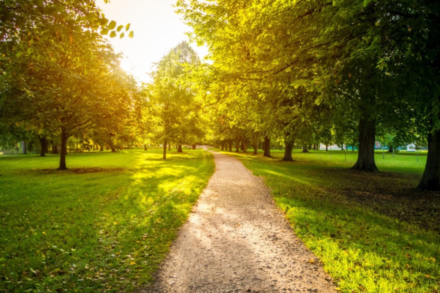 Los parques urbanos: refugios climáticos naturales que protegen a las ciudades todo el año