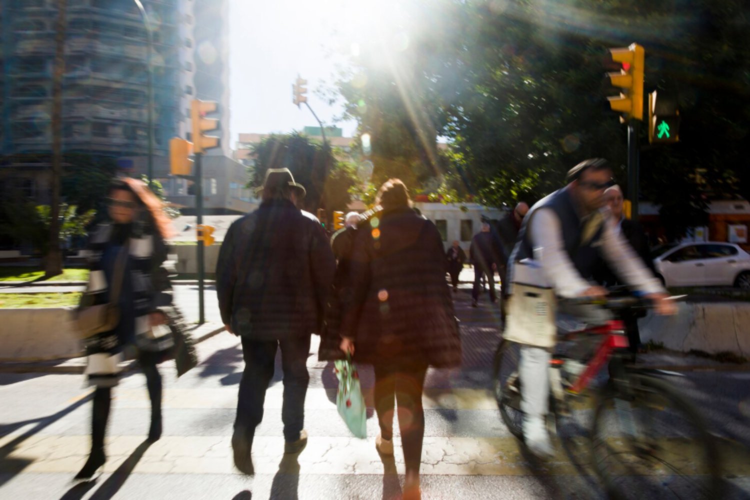 ¿Estamos hechos para vivir en ciudades? La ciencia dice que no, y advierte un posible desajuste evolutivo