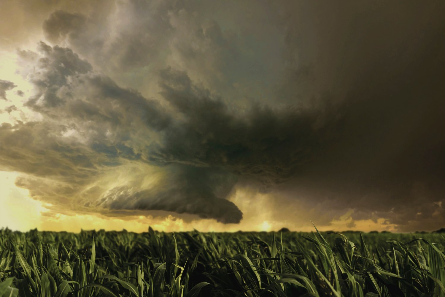 Revelan un nuevo ciclo en los trópicos: así afecta a las tormentas y a los fenómenos extremos