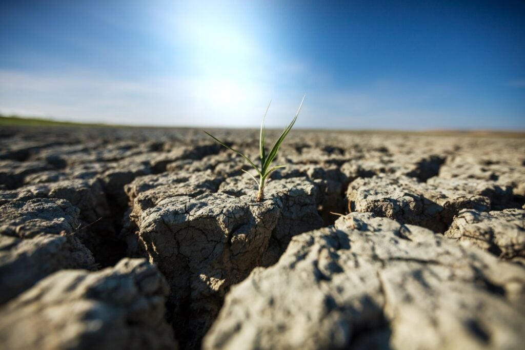 La Tierra se parte en dos: captan por primera vez la ruptura de una placa tectónica
