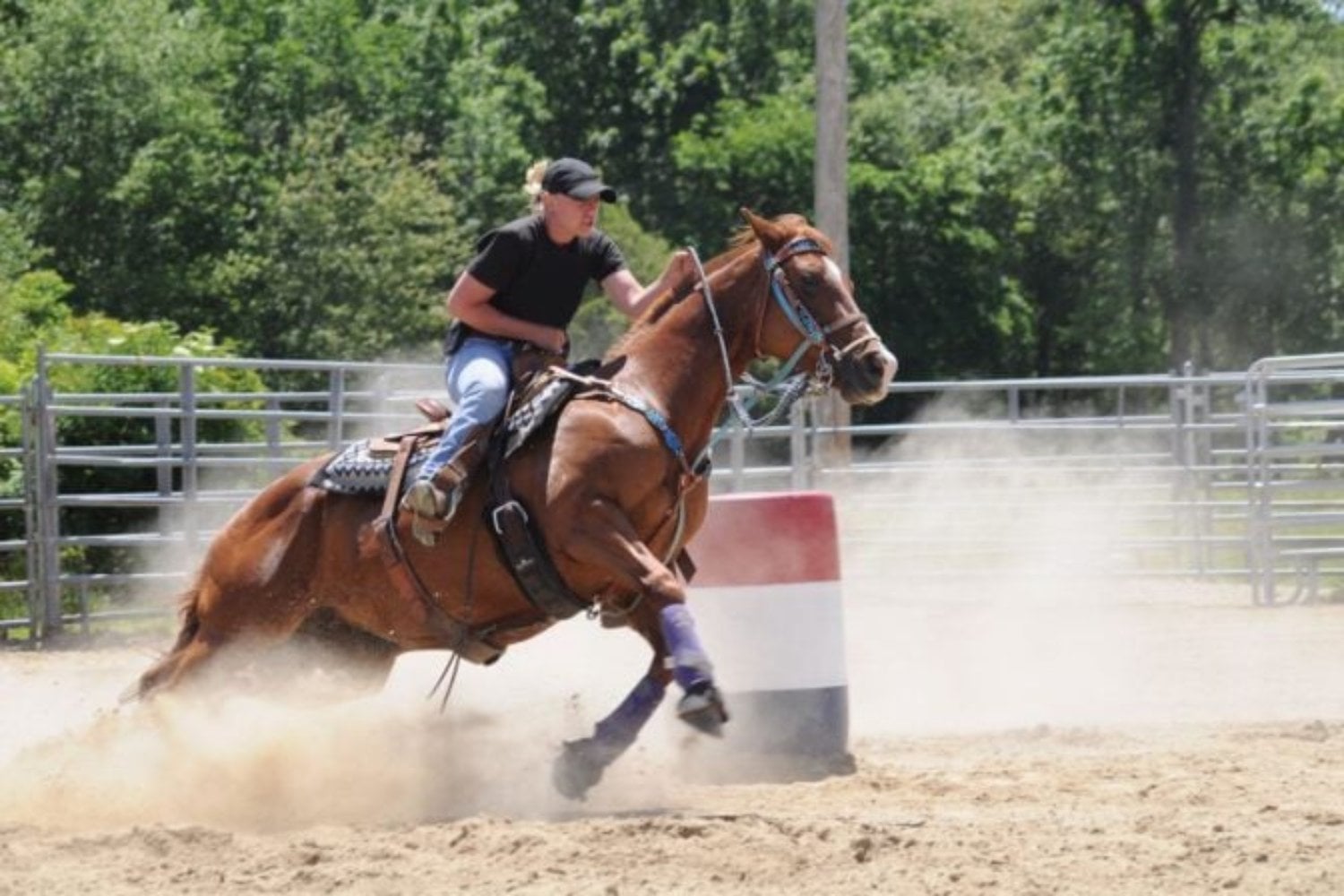 Caballo