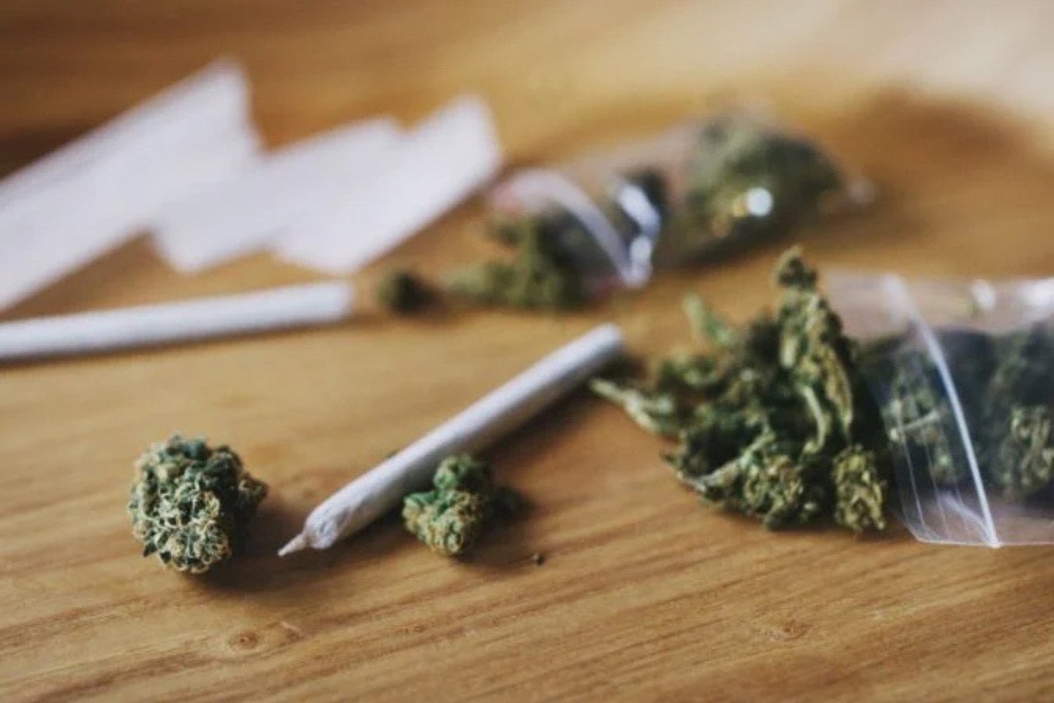 Cannabis