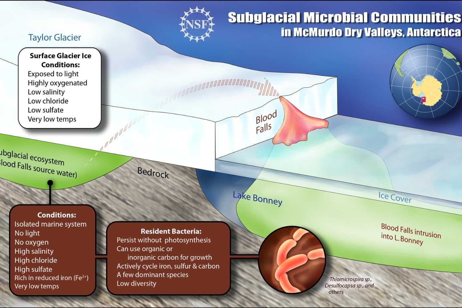 Lago Subglacial