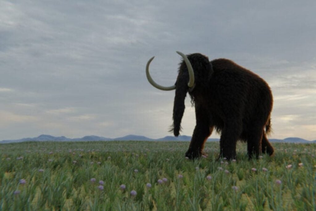 Mamut Lanudo