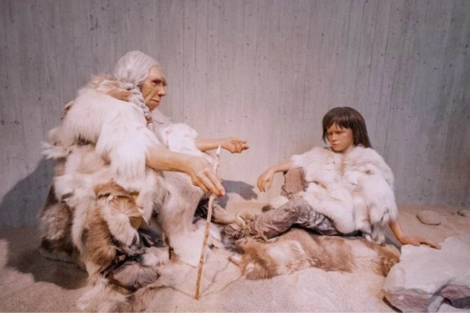 Neandertal