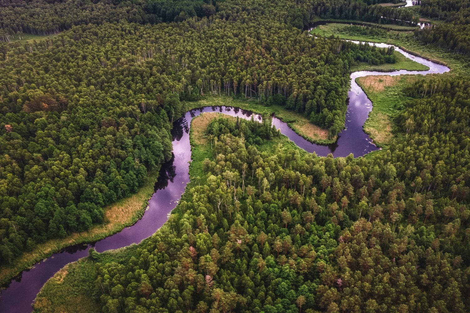 Rio Amazonas