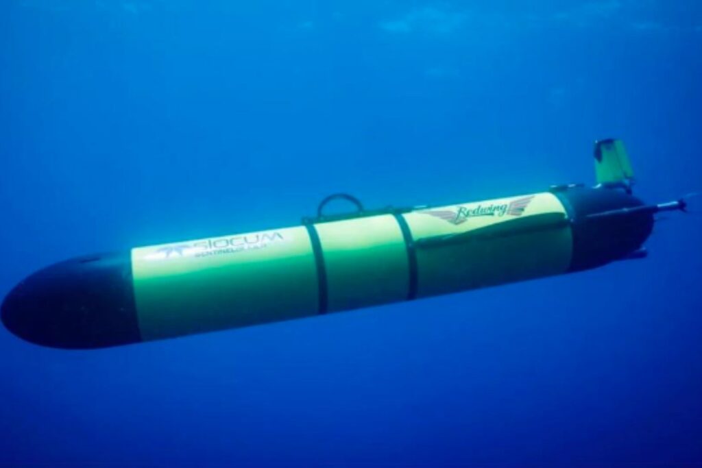 Robot Autonomo Redwing