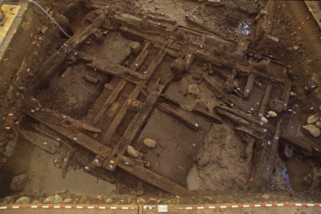 La huella de Roma estaba escrita en los árboles. Un estudio masivo muestra que los romanos explotaron bosques antiguos, inaccesibles y nunca antes utilizados al norte de los Alpes y que esta presión alcanzó su punto crítico durante la crisis imperial