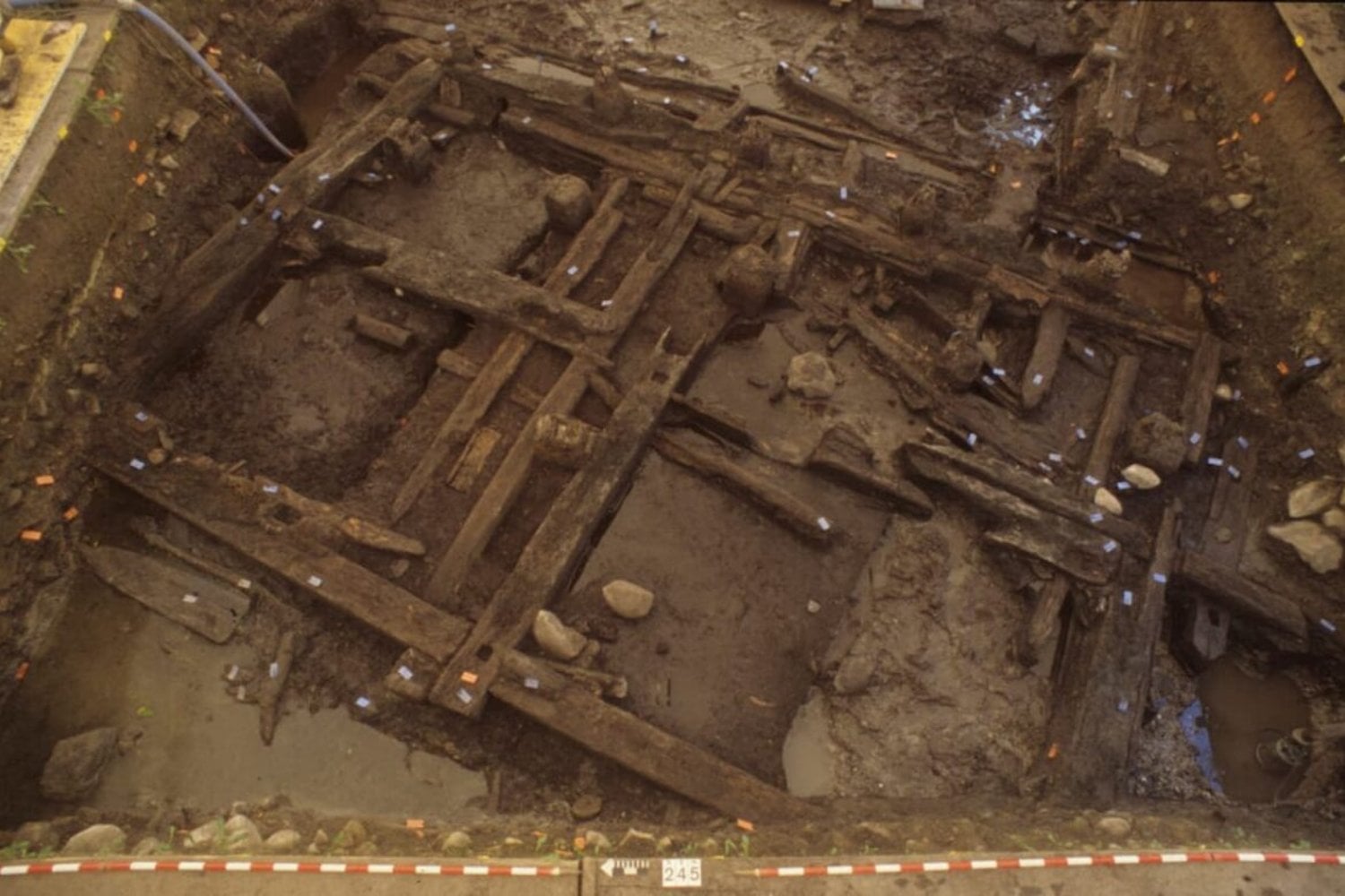 La huella de Roma estaba escrita en los árboles. Un estudio masivo muestra que los romanos explotaron bosques antiguos, inaccesibles y nunca antes utilizados al norte de los Alpes y que esta presión alcanzó su punto crítico durante la crisis imperial
