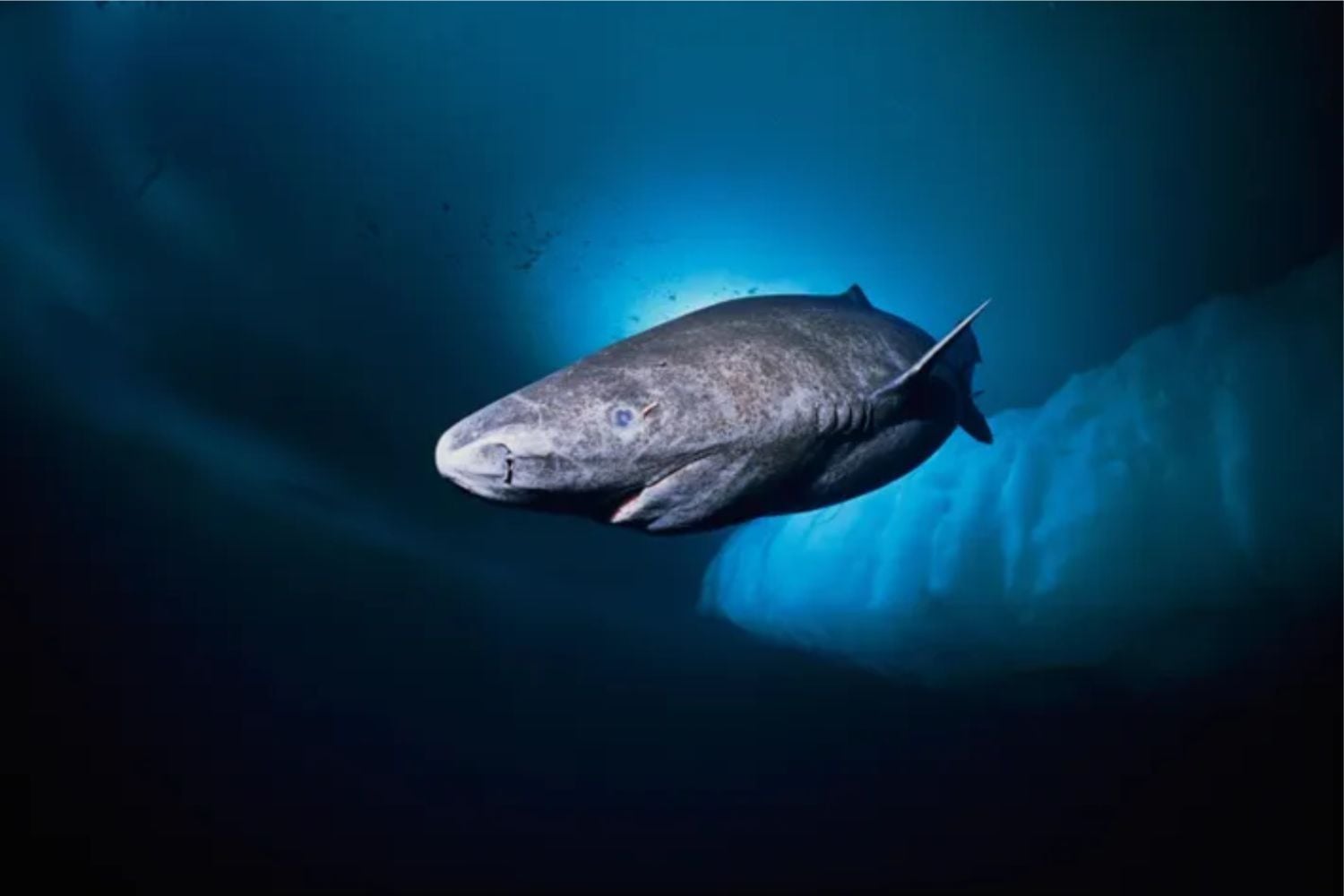 Diseño Sin Título (10)