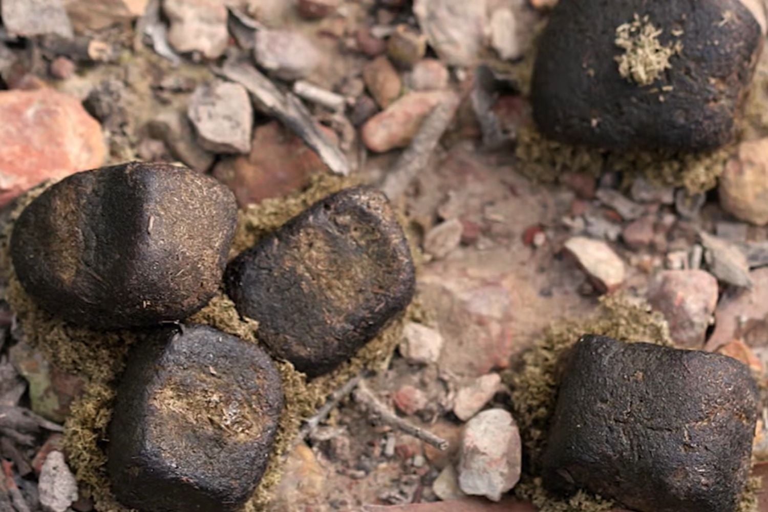 Diseño Sin Título (11)