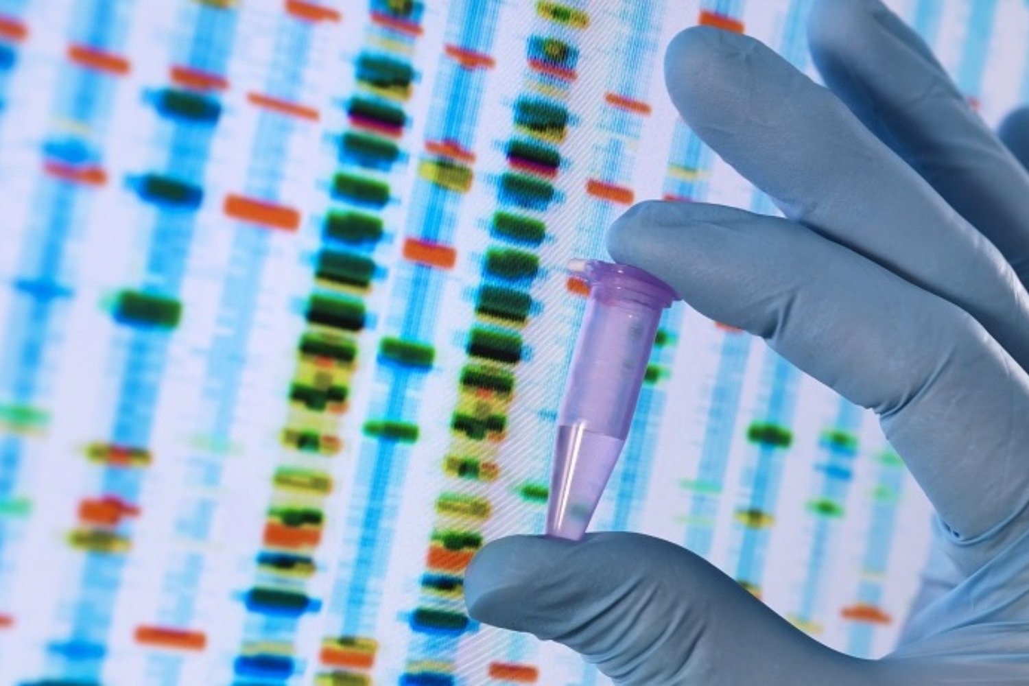 La genética humana entra en una nueva era. Un proyecto en Barcelona identifica 41.000 transcritos ignorados por los mapas oficiales y demuestra que la referencia del genoma estaba sesgada