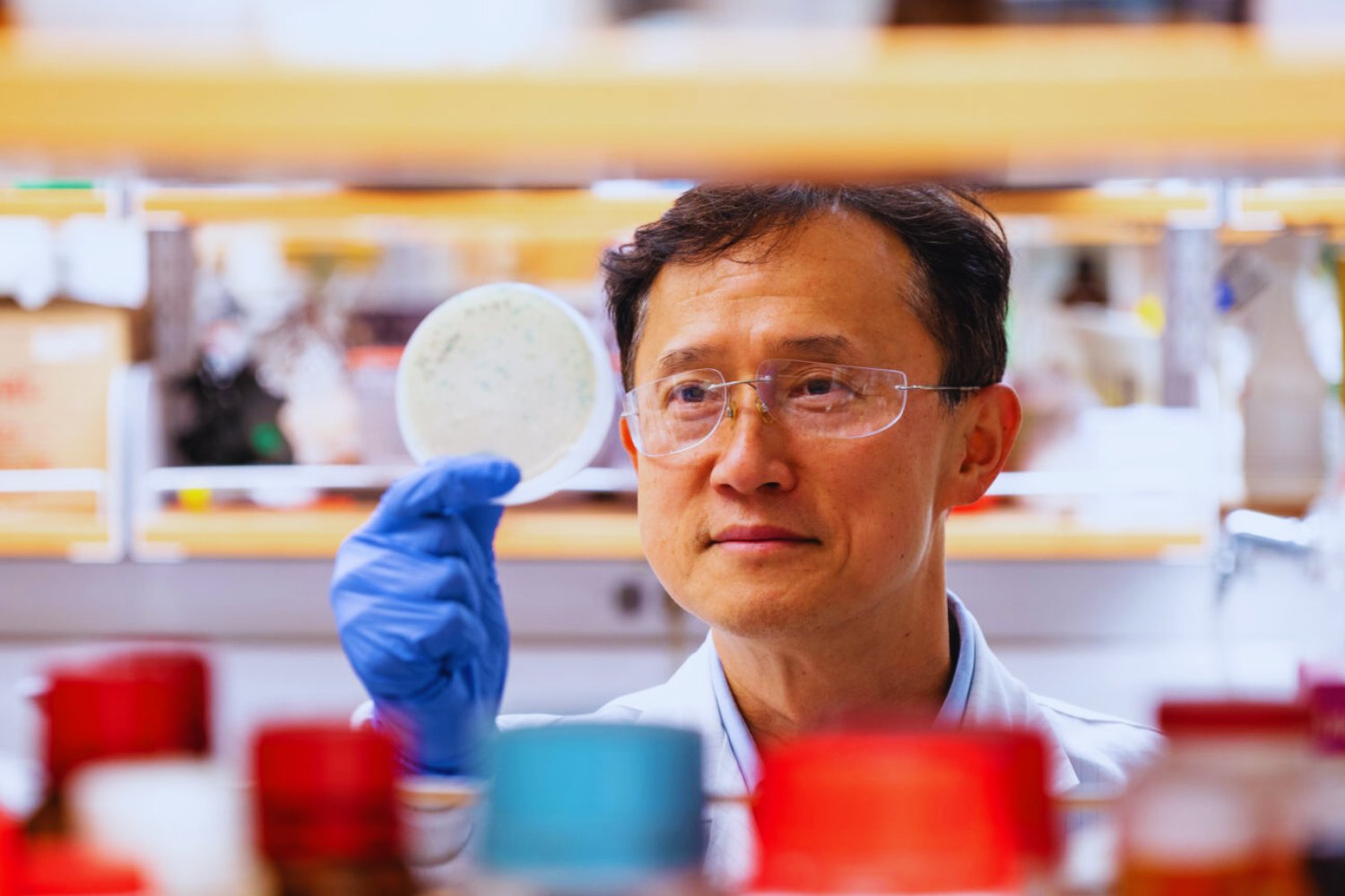 Un virus convertido en “esponja inteligente” promete extraer tierras raras sin contaminar. Lo desarrolló UC Berkeley y funciona mejor de lo esperado