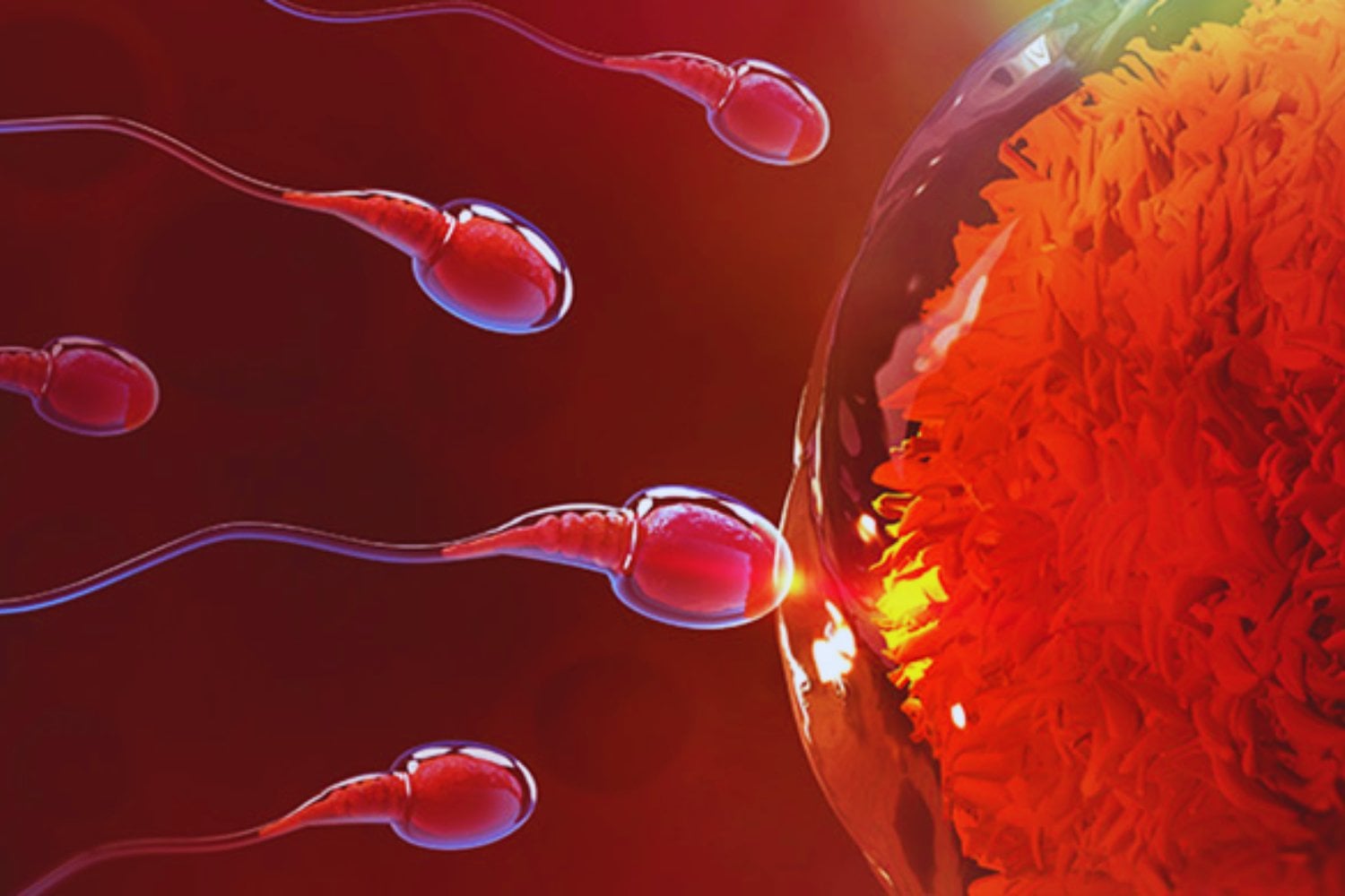 Damos por hecho que todo está controlado, sobre todo cuando hablamos de ciencia. Este caso expone qué pasa cuando ese control no existe en la reproducción asistida