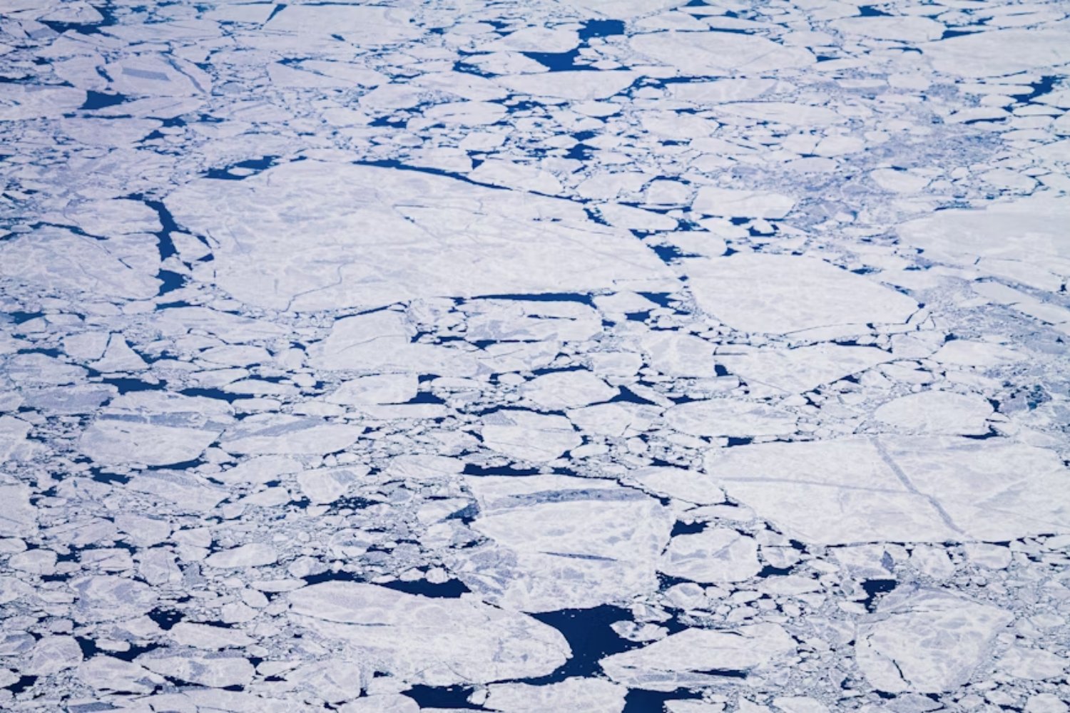 Vivimos en una bajamar geológica. La ciencia advierte que el mar volverá y que todo depende del momento en que la Antártida Occidental comience a desmoronarse