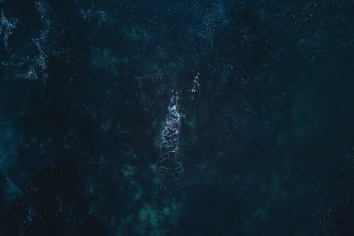 Pensábamos que los ríos moldeaban el fondo del océano. La geología acaba de demostrar que los cañones submarinos se forman de otra manera