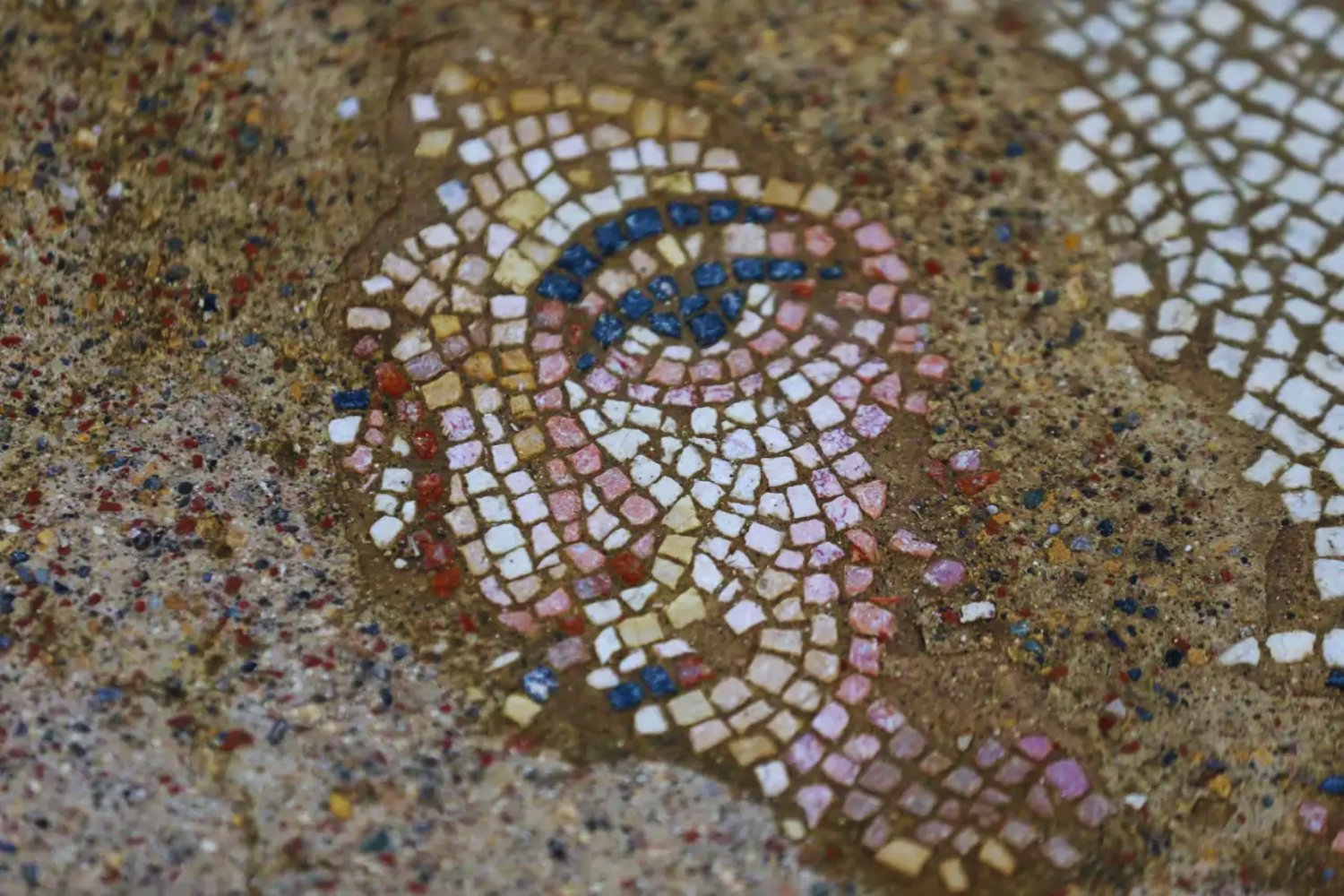 Lo lógico es pensar que de las ciudades romanas ya no quedan sorpresas, pero este mosaico del siglo IV acaba de desmontar esa idea