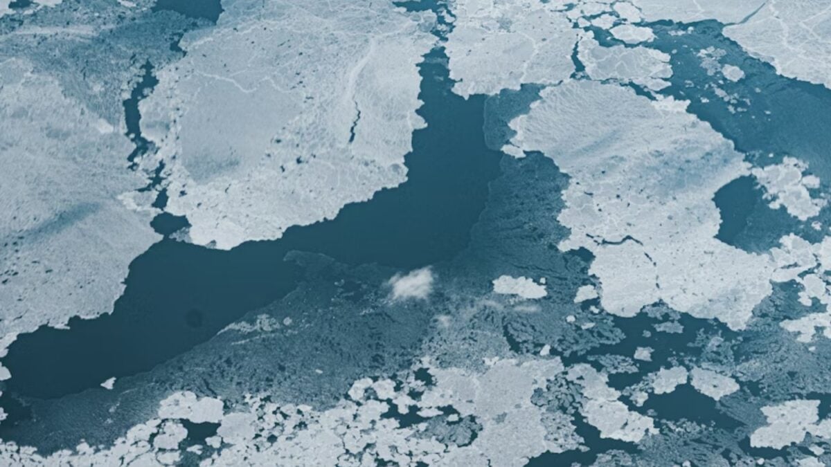 Vivimos en una bajamar geológica. La ciencia advierte que el mar volverá y que todo depende del momento en que la Antártida Occidental comience a desmoronarse